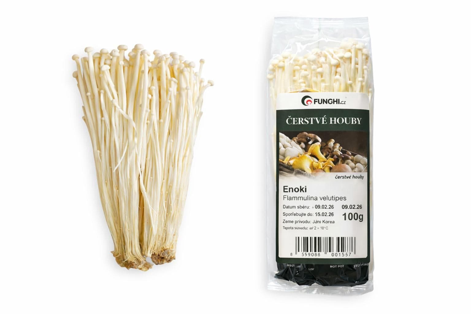 Enoki, vanička
