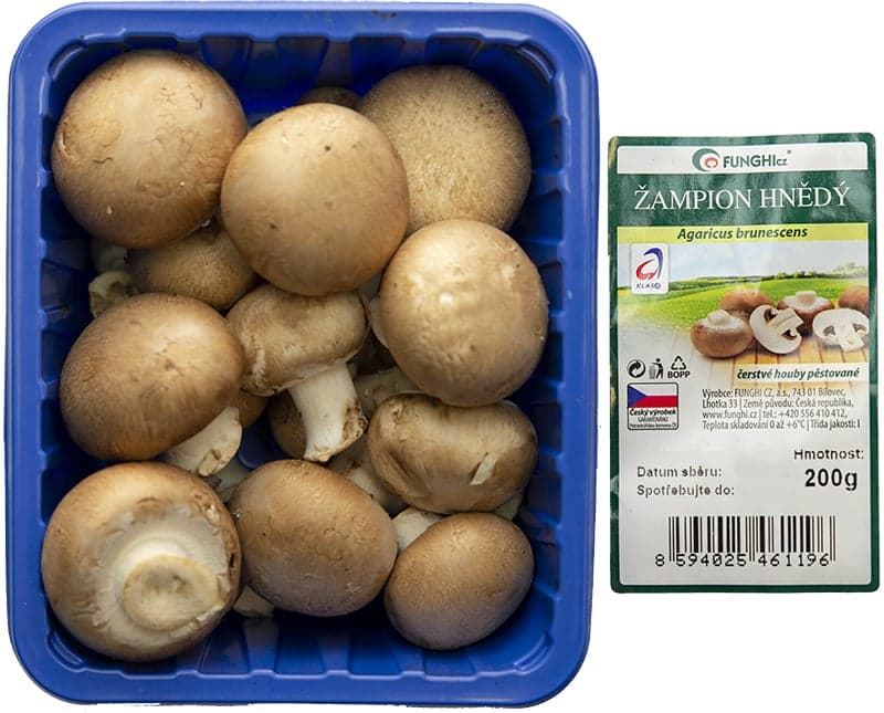Žampiony hnědé, vanička