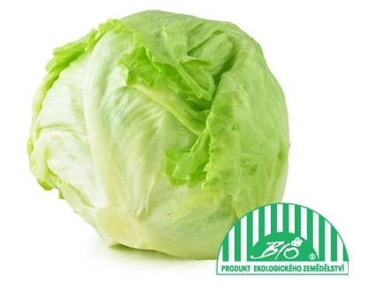 BIO Salát ledový 1 ks (cca 300 g)