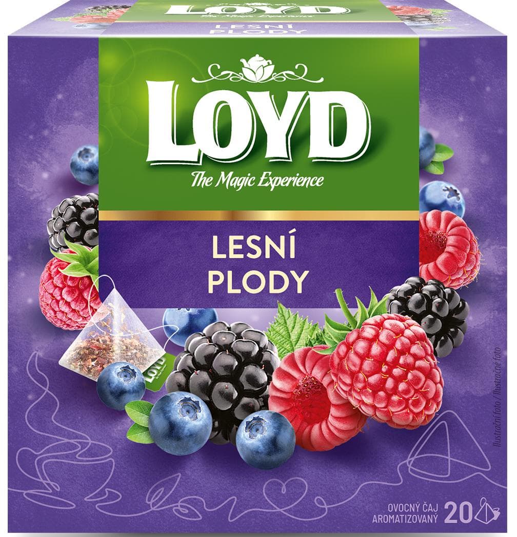 Loyd pyramida Lesní plody