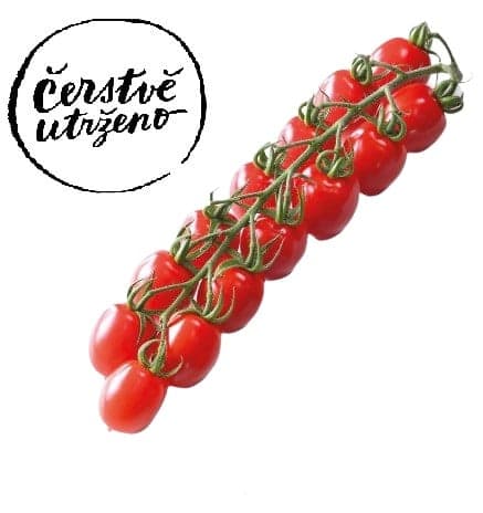 Čerstvě utrženo - Rajčata cherry na větvičce odr. Strabena, střapec