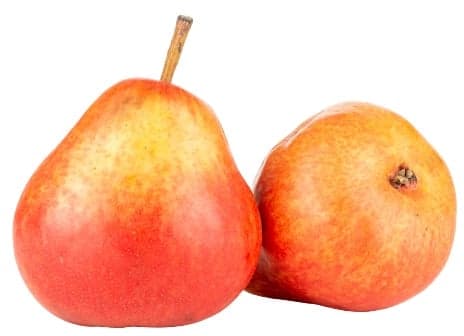 Hruška červená (odr. Red Williams) 1 ks