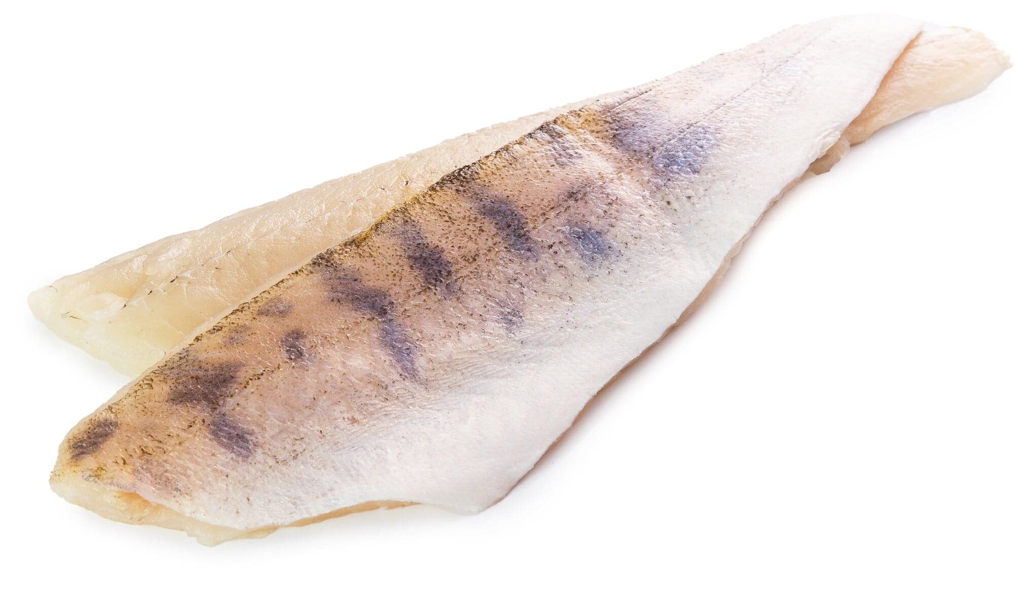 Candát obecný filet s kůží