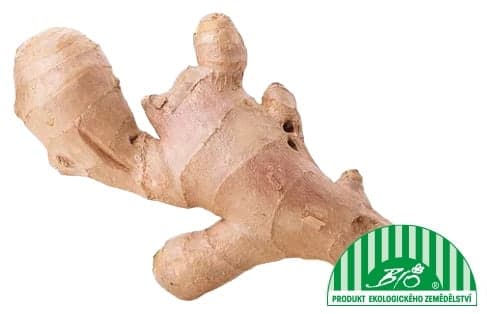 BIO zázvor, volně