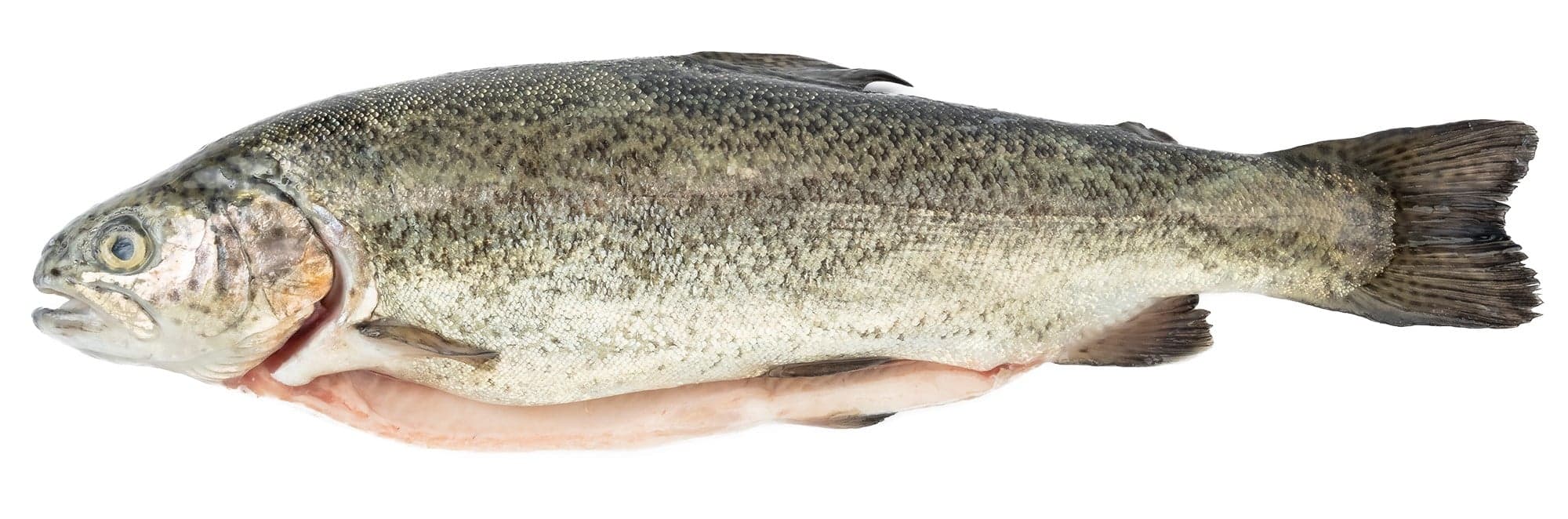 FJORU BIO Pstruh kuchaný