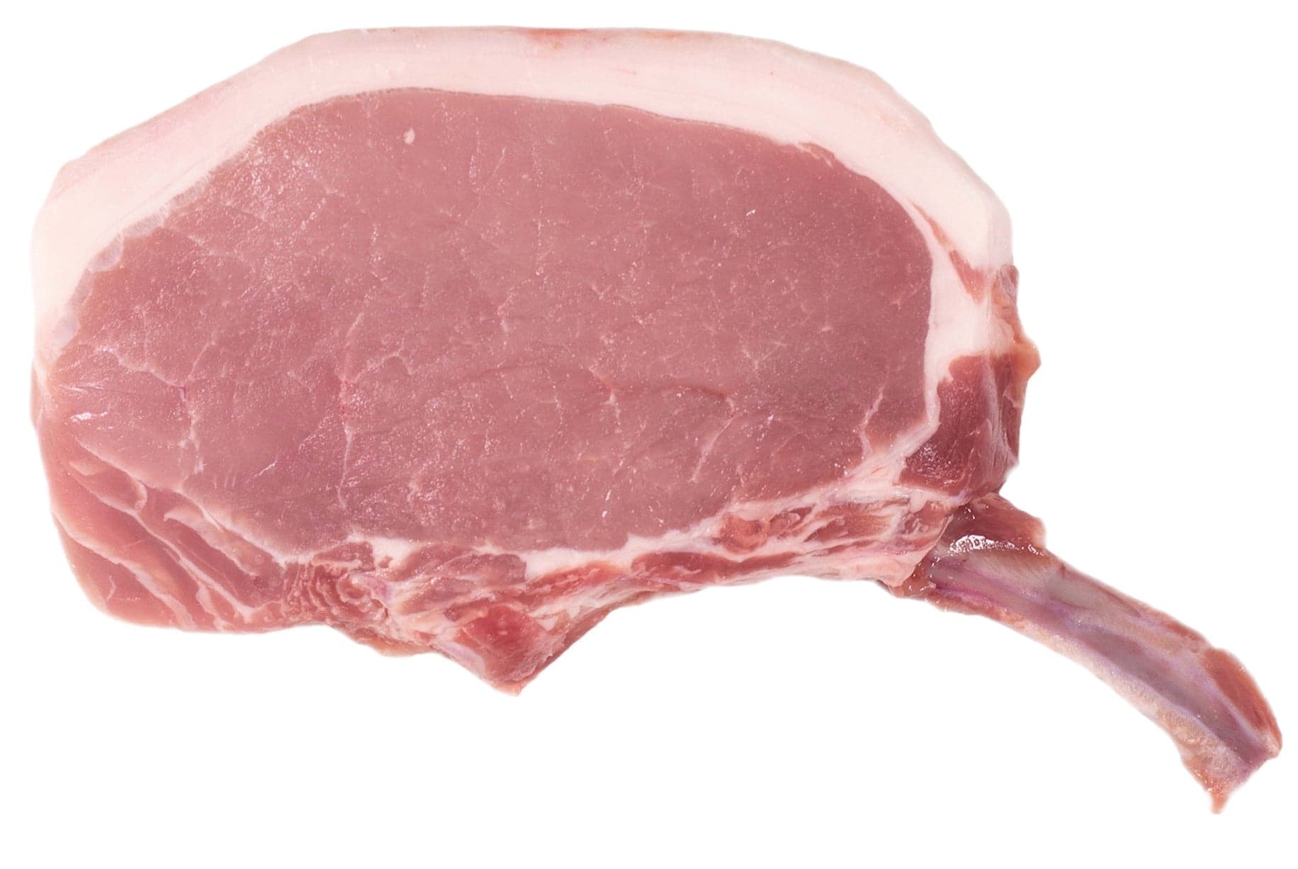 Maso Klouda Vepřový Tomahawk steak