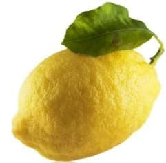 Citron Amalfi 1 ks