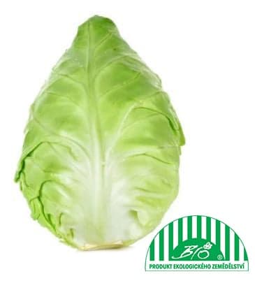 BIO Špičaté bílé zelí