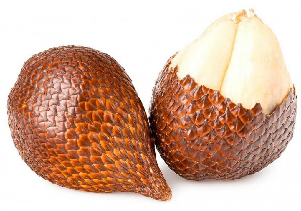 Salak (Hadí ovoce) 1 ks