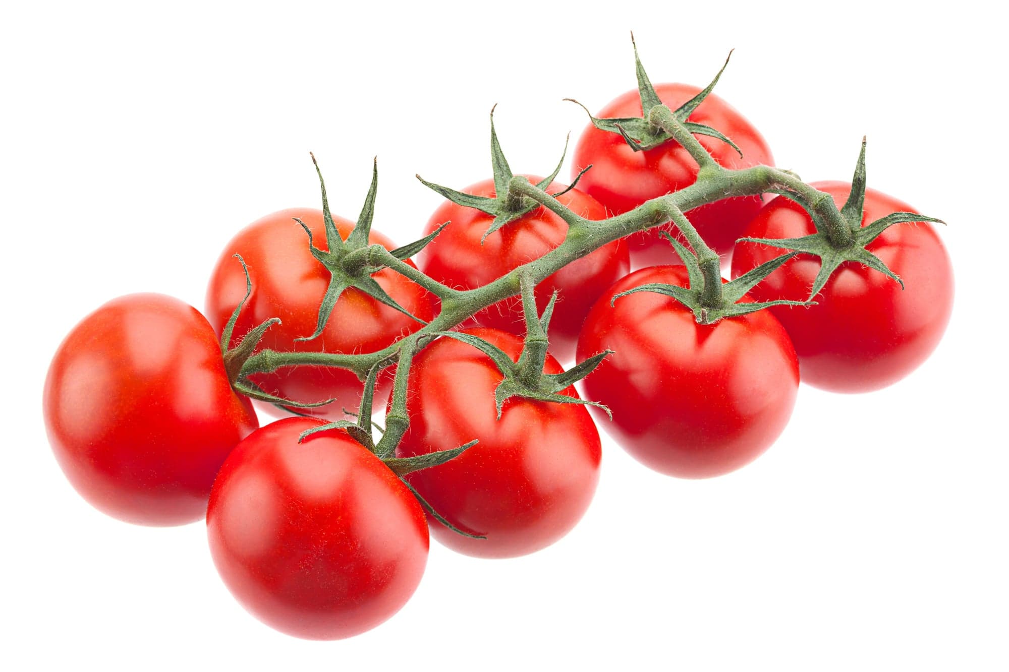 Rajčata cherry na větvičce (odr. Creativo), střapec