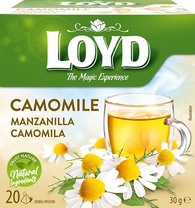 Loyd Pyramida heřmánek