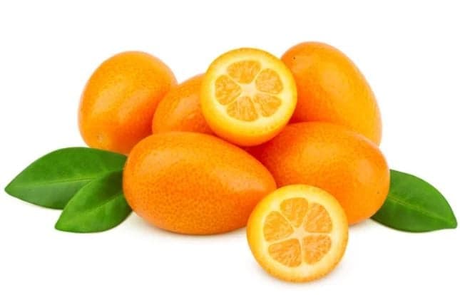 Kumquat, volně
