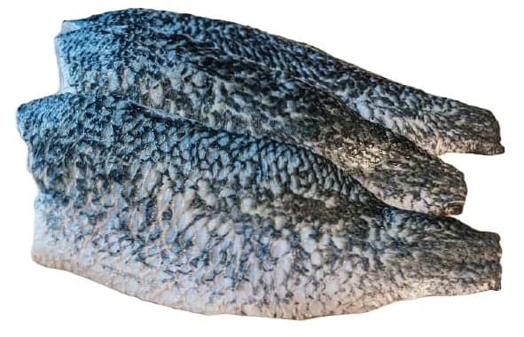 Barramundi filety