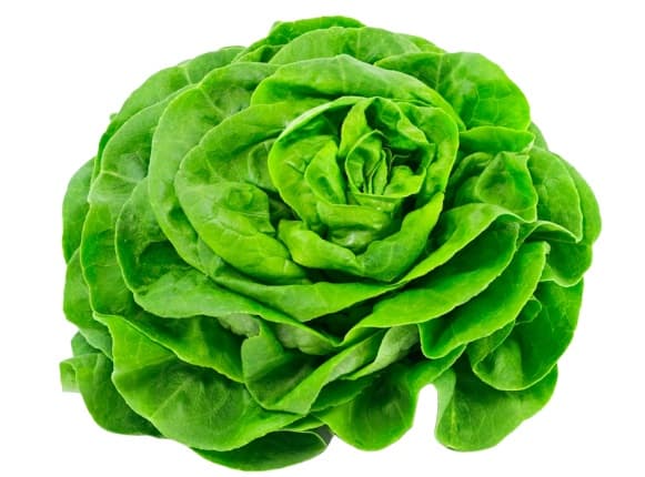 Salát hlávkový (180g+)