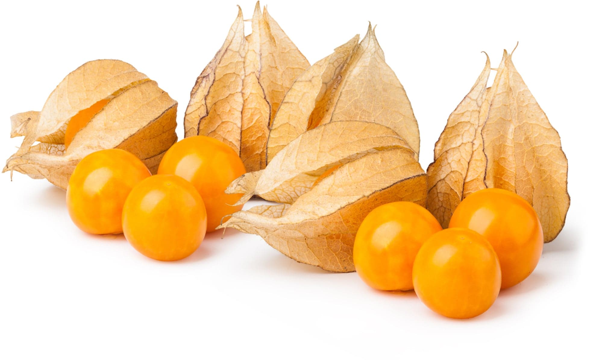 Mochyně / Physalis, vanička