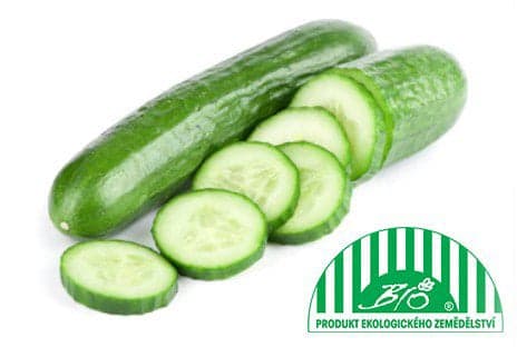 BIO Okurka hadovka 1 ks (cca 300 g)