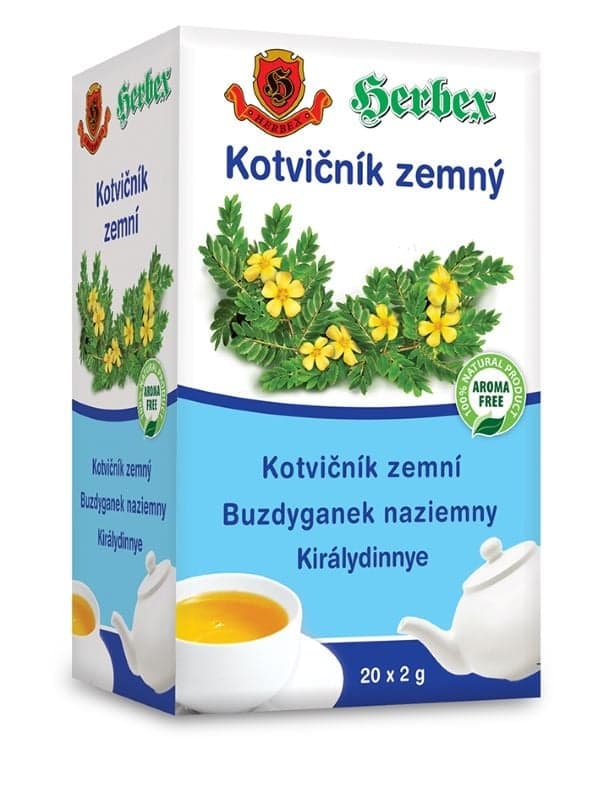 HERBEX Kotvičník zemní n.s.20x2g