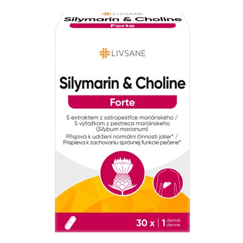 LIVSANE Silymarin & Cholin Forte tob.30