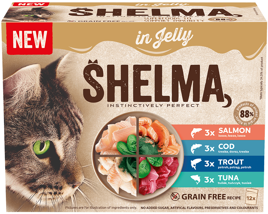Shelma Sada rybích kapsiček v želé pro kočky 12×85 g