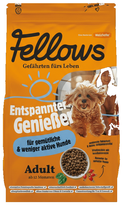 Fellows Entspannter Genießer hmyzí granule pro městské a méně aktivní psy