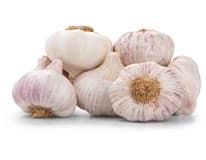 Česnek Morado CZ čerstvý 250 g