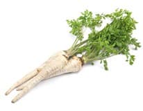 Petržel kořenová CZ cca 1 kg