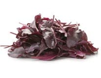 METRO Chef Salát listy býčí krev 125 g