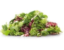 METRO Chef Salát Misticanza praný 125 g vanička