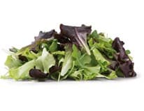 METRO Chef Salát Quattro Gusti nepraný 500 g vanička