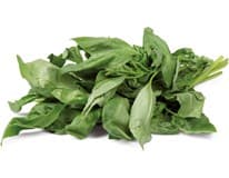 METRO Chef Bazalka 100 g
