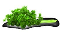 Petržel kadeřavá 1 kg