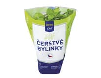 METRO Chef Máta "Velká" v kelímku 1 ks