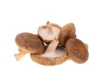 HOLOUBEK A PRAVNUCI Shiitake čerstvá CZ 200 g vanička