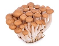 Shimeji hnědé čerstvé 150 g