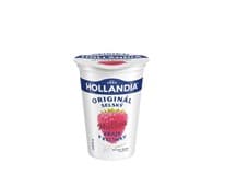 Hollandia Jogurt selský malina 10 x 200 g