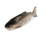 Pstruh duhový kuchaný 10% glazura 300-350 g mraž. 5 kg