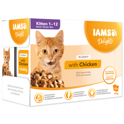 IAMS Delights Kuřecí v omáčce multipack kapsičky pro koťata 12x85g