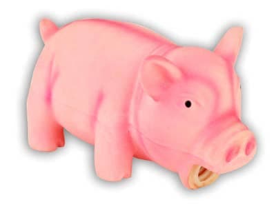Akinu Pašík latexová hračka pro psy 15cm