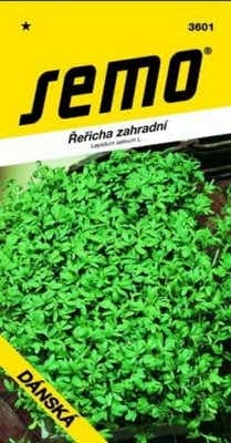 Semo Řeřicha zahradní celoroční Dánská