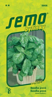 Semo Bazalka salátová Lettuce leaf