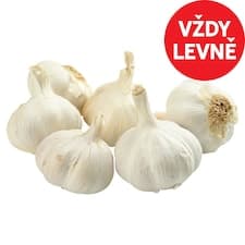 Česnek