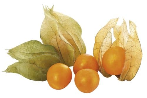Physalis 100 g