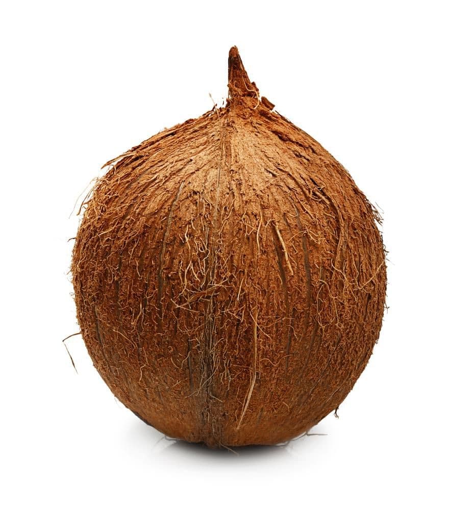 Kokosový ořech 1 ks