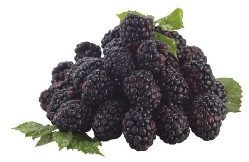 Ostružiny balené 125 g