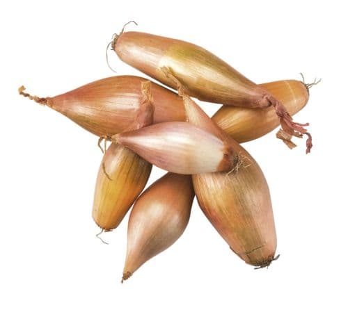 Cibule šalotka 500 g
