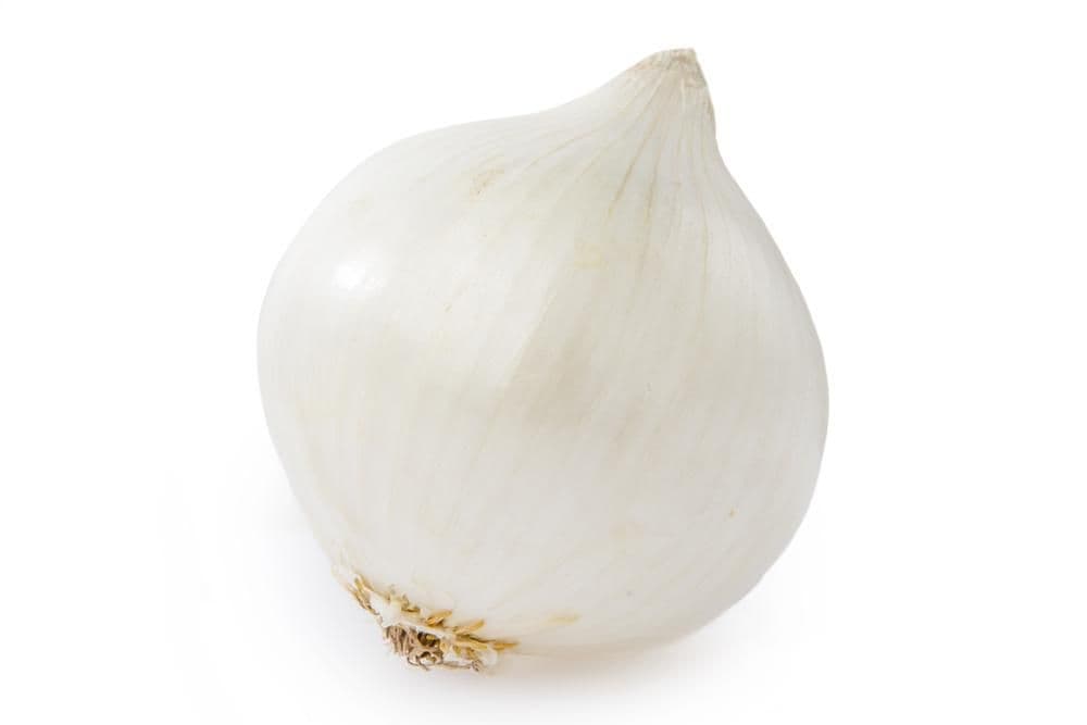 Cibule bílá volná