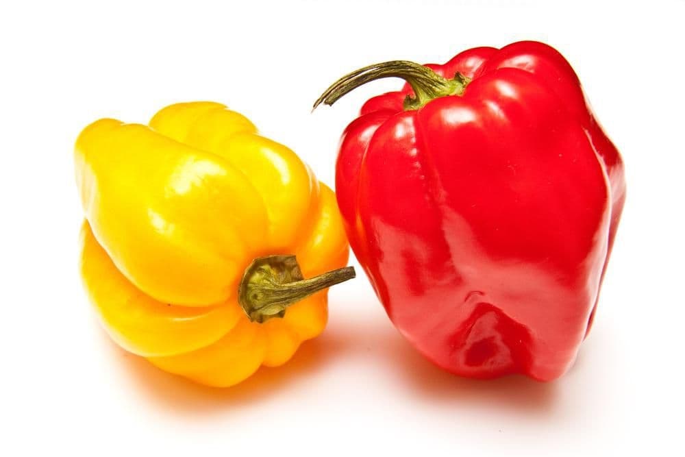 Papriky chilli Cayenne 50 g