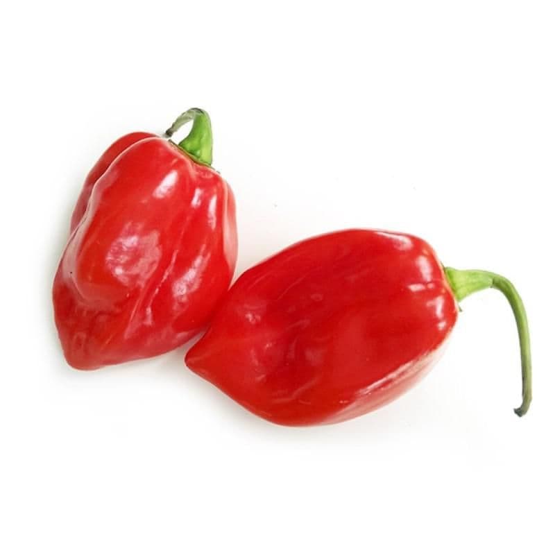 Papriky chilli Habanero 50 g