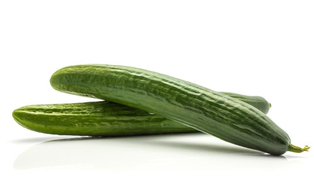 Okurka hadovka 1 ks