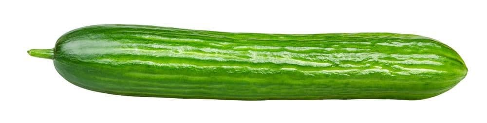 BIO Okurka hadovka 1 ks